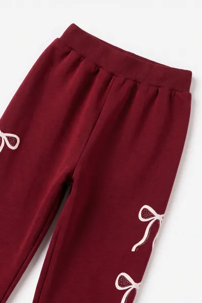 Bordo (6-10 Yaş)Baskılı Kanguru Cepli 3 İp Şardonlu Kız Çocuk Kışlık Takım 499088