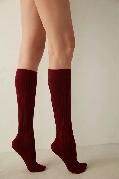 Bordo 71 Penti Knit  200 Den  Pantolon Çorabı 421648