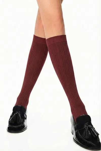 Bordo 71 Penti Stripe  60 Den Pantolon Çorabı 421624