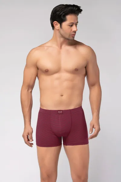 Bordo Berrak Çizgili Likralı Erkek Boxer 371183