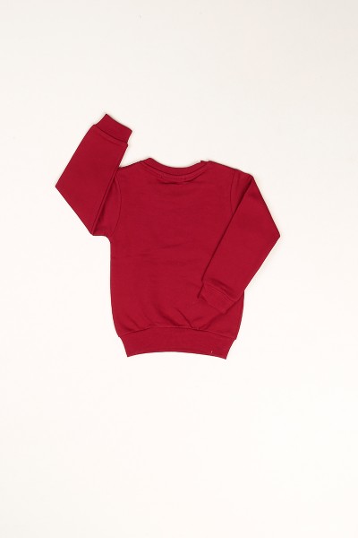 Bordo İçi Şardonlu Monster Baskılı Erkek Çocuk Sweat 80970