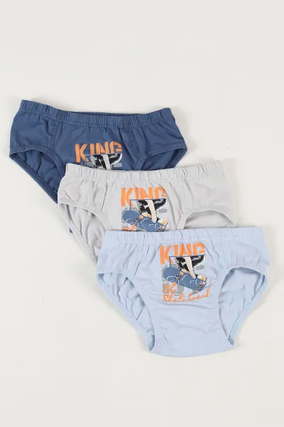Çoklu Renk (11-15 Yaş)King Kaykay Baskılı Erkek Çocuk 3'lü Slip Külot 460984