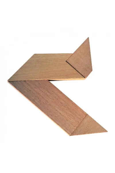 Tangram Eğitim Materyali 4 Parça 100 Şekil 342387
