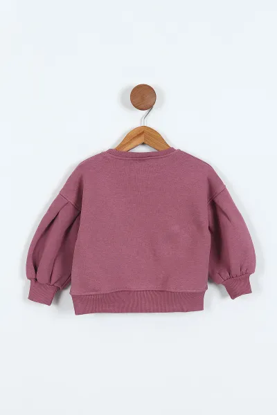 Eflatun (0-4 Yaş)Çiçek Nakışlı Baskılı  3 İp Şardonlu Kız Çocuk Sweatshirt 417580