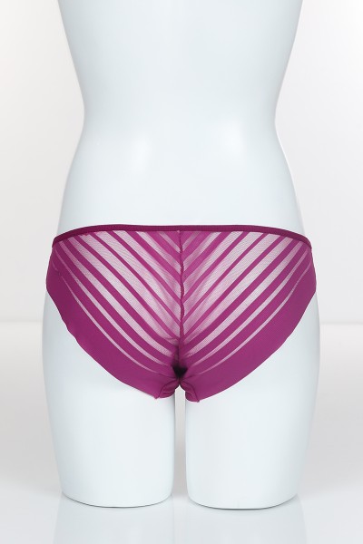 Eflatun 3687 Bikini Ön Arka Transparan Bant Külot 102375