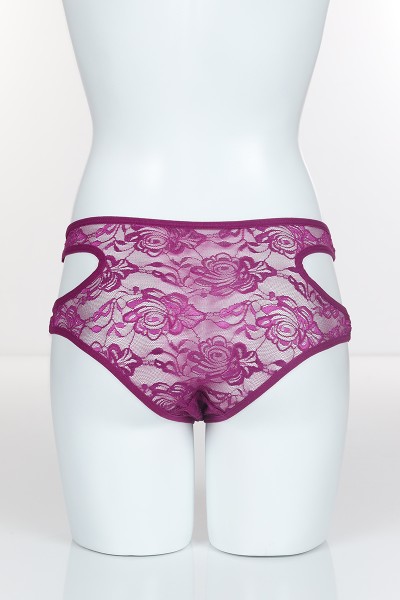 Eflatun 4145 Bikini Komple Lez Dantel Yanları Kavisli Külot 101822
