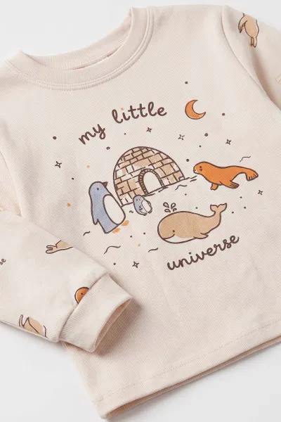 Ekru (3-6 Yaş ) Alaska Desenli Penye Erkek Çocuk   Pijama Takım 500344
