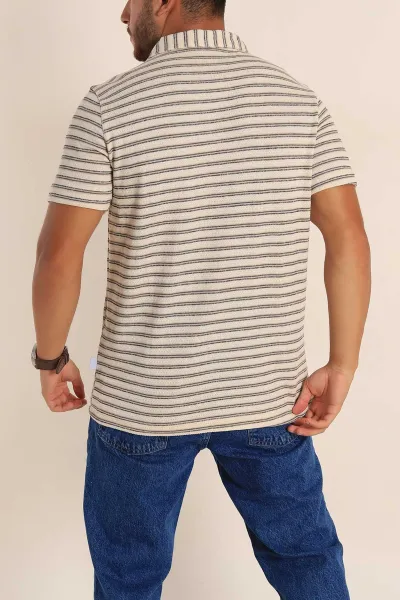 Ekru Antrasit Çizgili Regular Fit Polo Yaka Erkek Tişört 262719