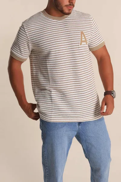 Ekru Bej Çizgili Regular Fit Nakış Yazı Detaylı Erkek Triko Tişört 268452