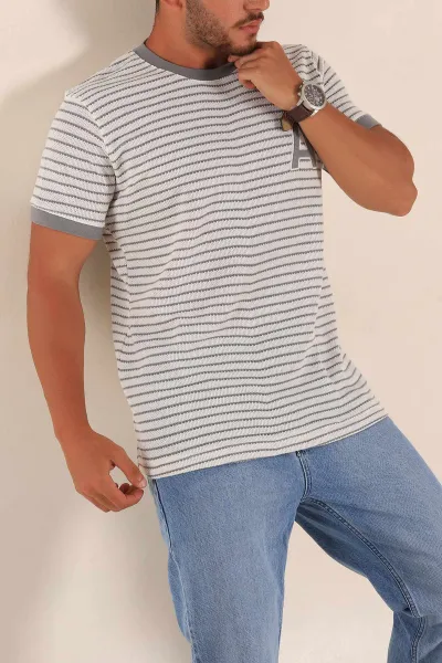 Ekru Gri Çizgili Regular Fit Nakış Yazı Detaylı Erkek Triko Tişört 268453