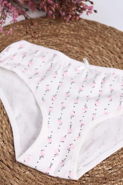 Ekru Pembe (2-11 Yaş) Baskılı Fiyonklu Kız Çocuk Külot 233621