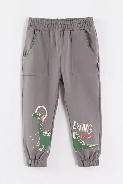 Füme (1-4 Yaş) Dinozor  Baskılı Paça Lastikli 2 İp Erkek Çocuk&Bebek Eşofman Altı 496782