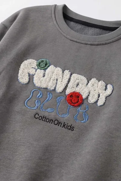 Füme (4-12 Yaş) Süzene Nakışlı İçi Şardonlu Erkek Çocuk Sweatshirt 495867