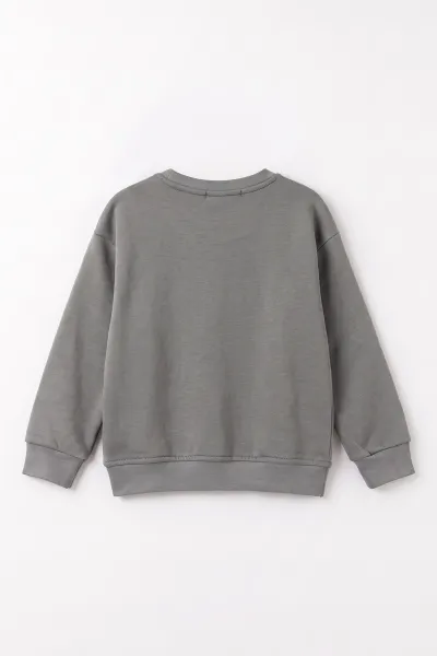 Füme (4-12 Yaş) Süzene Nakışlı İçi Şardonlu Erkek Çocuk Sweatshirt 495867