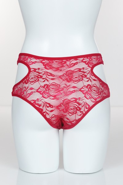Fuşya 4145 Bikini Komple Lez Dantel Yanları Kavisli Külot 101823