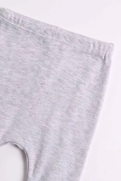 Gri (0-9 Ay)  Fil  Nakışlı Kapüşonlu Çıtçıtlı Hırkalı 3'lü Erkek Bebe Takım 475938