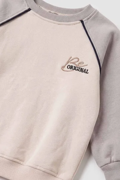 Gri (1-5 Yaş) Reglan Kol Kıl Biyeli Nakışlı 3 İp Şardonlu Erkek Çocuk Kışlık Takım 492146