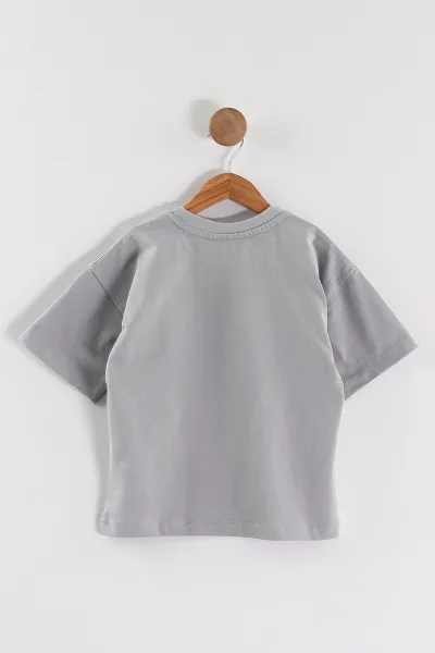 Gri (3-10 Yaş) Karakter Baskılı Oversize Erkek Çocuk Tişört 469023