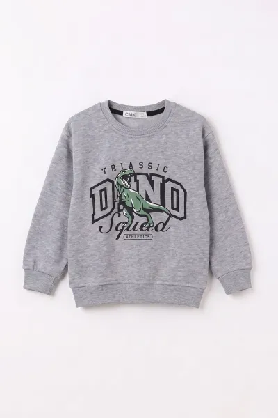 gri-3-12-yas-dino-baskili-3-ip-sardonlu-erkek-cocuk-sweatshirt-483910