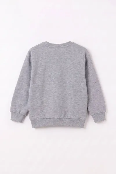 Gri (3-12 Yaş) Dino Baskılı 3 İp Şardonlu Erkek Çocuk Sweatshirt 483910