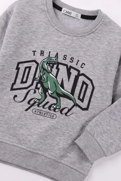 Gri (3-12 Yaş) Dino Baskılı 3 İp Şardonlu Erkek Çocuk Sweatshirt 483910