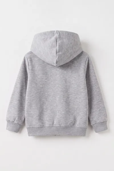 Gri (3-12 Yaş) Nakışlı Kapüşonlu Fermuarlı  Şardonlu 3 İp Erkek Çocuk Sweatshirt 484136