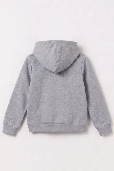 Gri (3-12 Yaş) Süzene Palmiye Nakışlı Kapüşonlu  3 İp Şardonlu Erkek Çocuk Sweatshirt 478784
