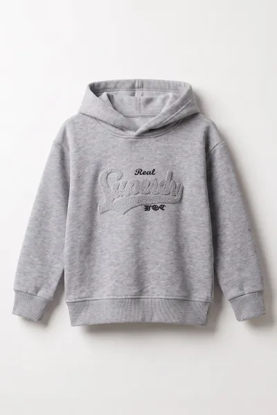 Gri (3-12 Yaş)Süzene  Superday Nakışlı  ve Kapüşonlu 3 İp Şardonlu Erkek Çocuk Sweatshirt 478641