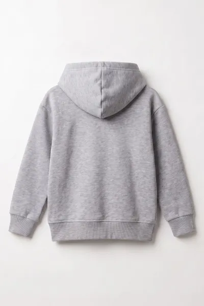 Gri (3-12 Yaş)Süzene  Superday Nakışlı  ve Kapüşonlu 3 İp Şardonlu Erkek Çocuk Sweatshirt 478641