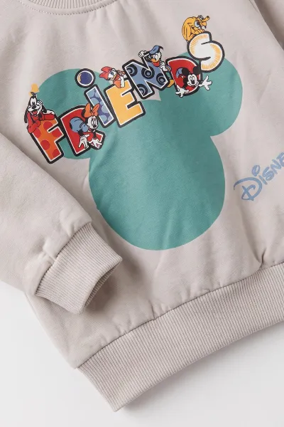 Gri (3-24 Ay)Friends  Baskılı 2 İp  Erkek Bebek  Takım 483873