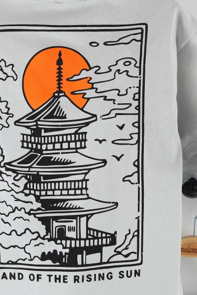 Gri (3-7 Yaş) Tokyo Baskılı Erkek Çocuk Takım 165959