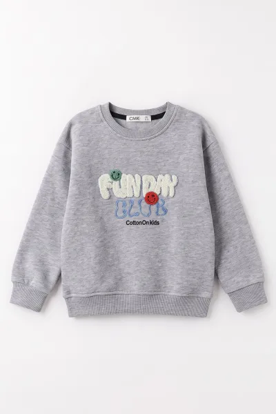 gri-4-12-yas-suzene-nakisli-ici-sardonlu-erkek-cocuk-sweatshirt-495866