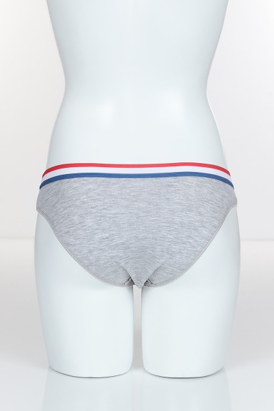 Gri 4309 Bikini Pamuk Lave Secret Baskılı Külot 101802
