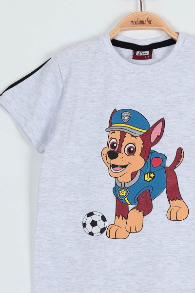 Gri (5-8 Yaş) Köpek Top Baskılı Erkek Çocuk Tişört 185398