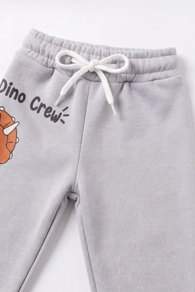 Gri (6-24 Ay) Dino Baskılı 3 İp Şardonlu Erkek Bebek Kışlık Takım 496131