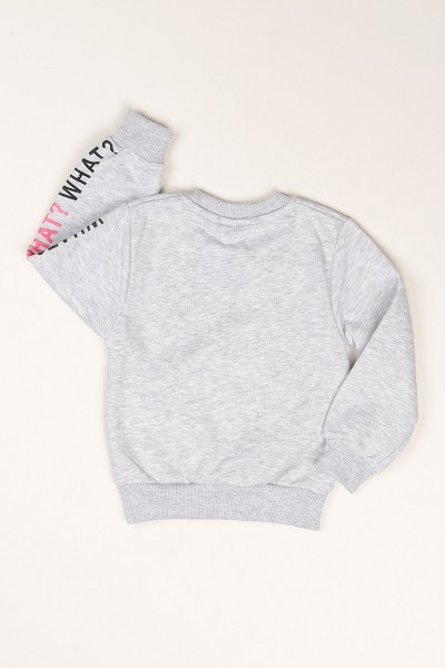 Gri Baskılı İçi Şardonlu Kız Çocuk Sweat 79470