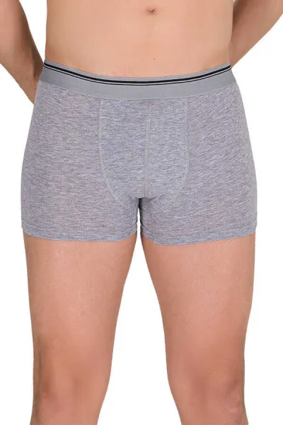 Gri Berrak Likralı Elastan Kumaş Erkek Boxer 370496