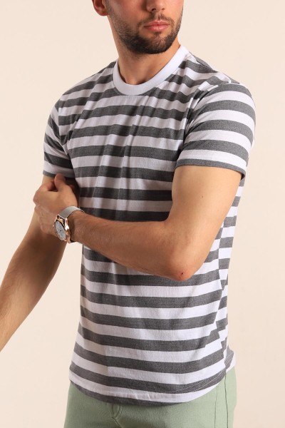 Gri Beyaz Çizgili Regular Fit Erkek Tişört 188015