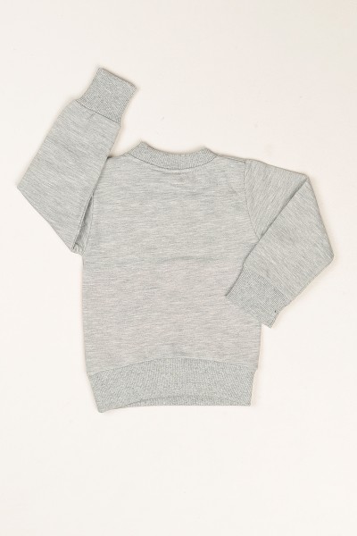 Gri Birds Baskılı İçi Şardonlu Kız Çocuk Sweatshirt 80609