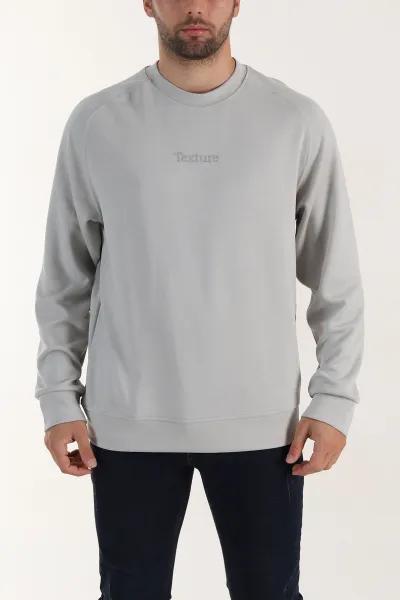 Gri Bisiklet Yaka Yazı Detaylı Erkek Sweatshirt 396244