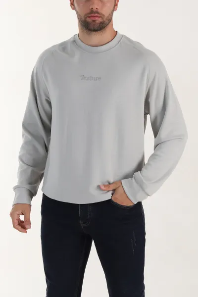 Gri Bisiklet Yaka Yazı Detaylı Erkek Sweatshirt 396244