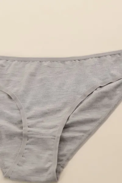Gri CH0850 Pamuklu Kadın Bikini Külot 288450