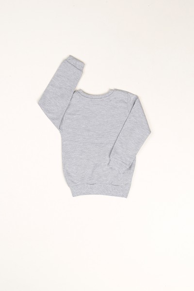Gri İçi Şardonlu Monster Baskılı Erkek Çocuk Sweat 80975