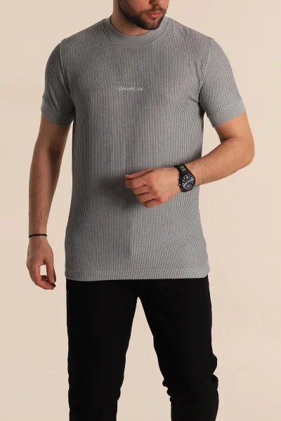 Gri Regular Fit Çizgi Dokulu Yazı Detay Erkek Tişört 268727