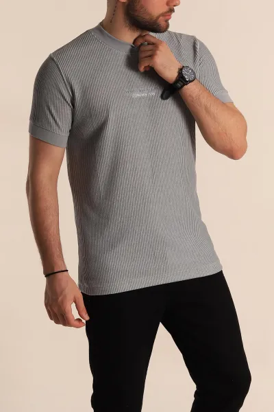 Gri Regular Fit Çizgi Dokulu Yazı Detay Erkek Tişört 268727