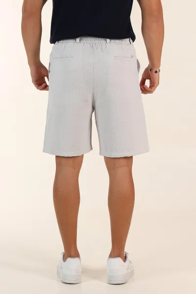 Gri Regular Fit Çizgili Erkek Şort 385197