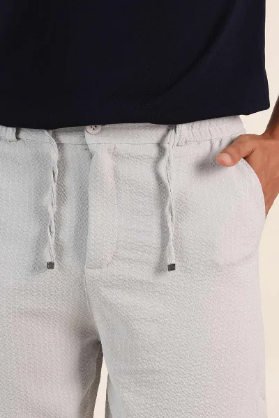 Gri Regular Fit Çizgili Erkek Şort 385197
