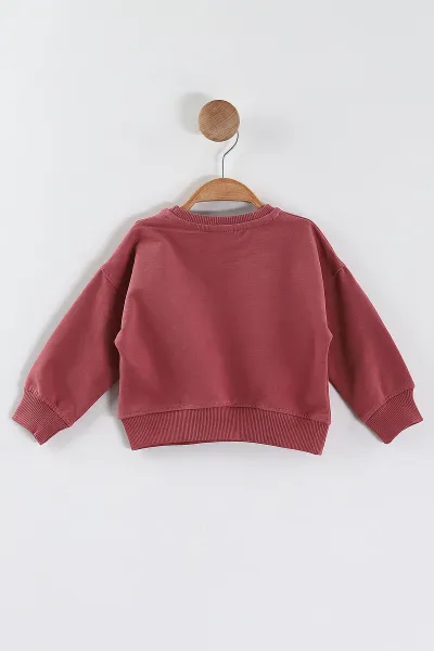 Gül Kurusu (1-4 Yaş)Tavşan Baskılı  Taşlı Kız Çocuk Sweatshirt 432953