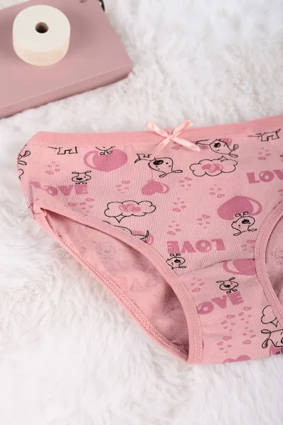 Gül Kurusu (2-11 Yaş) Baskılı Fiyonklu Kız Çocuk Külot 233620
