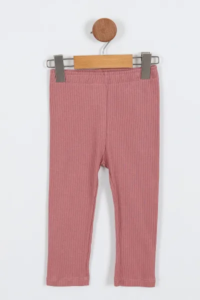 Gül Kurusu (2-5 Yaş) Panda Vibes Baskılı Taytlı Kız Çocuk Takım 336969